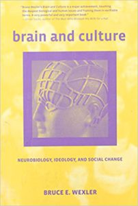Brain and Culture book cover